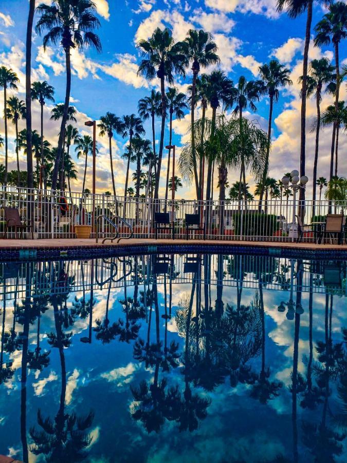 Victoria Palms Inn And Suites Donna Dış mekan fotoğraf